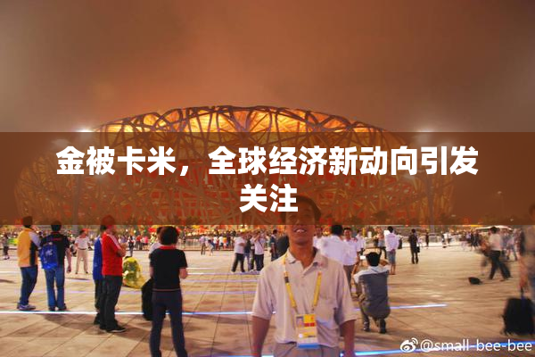 金被卡米，全球经济新动向引发关注