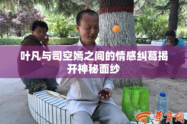 叶凡与司空嫣之间的情感纠葛揭开神秘面纱