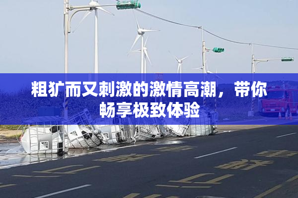 粗犷而又刺激的激情高潮，带你畅享极致体验