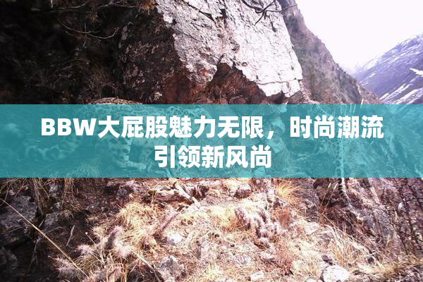 BBW大屁股魅力无限，时尚潮流引领新风尚