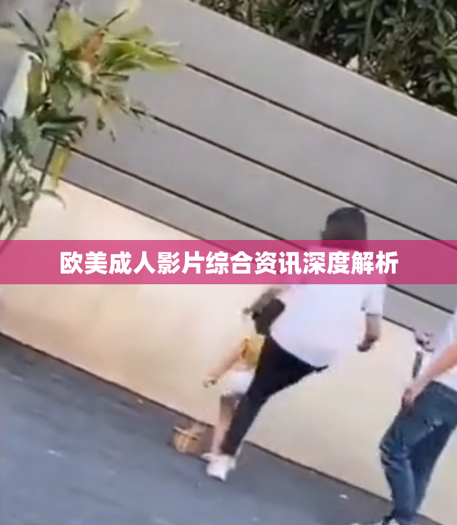 欧美成人影片综合资讯深度解析
