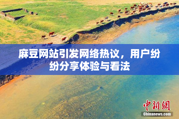 麻豆网站引发网络热议，用户纷纷分享体验与看法