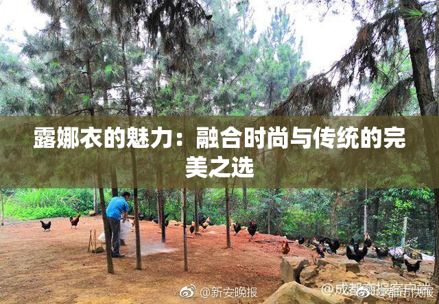 露娜衣的魅力：融合时尚与传统的完美之选
