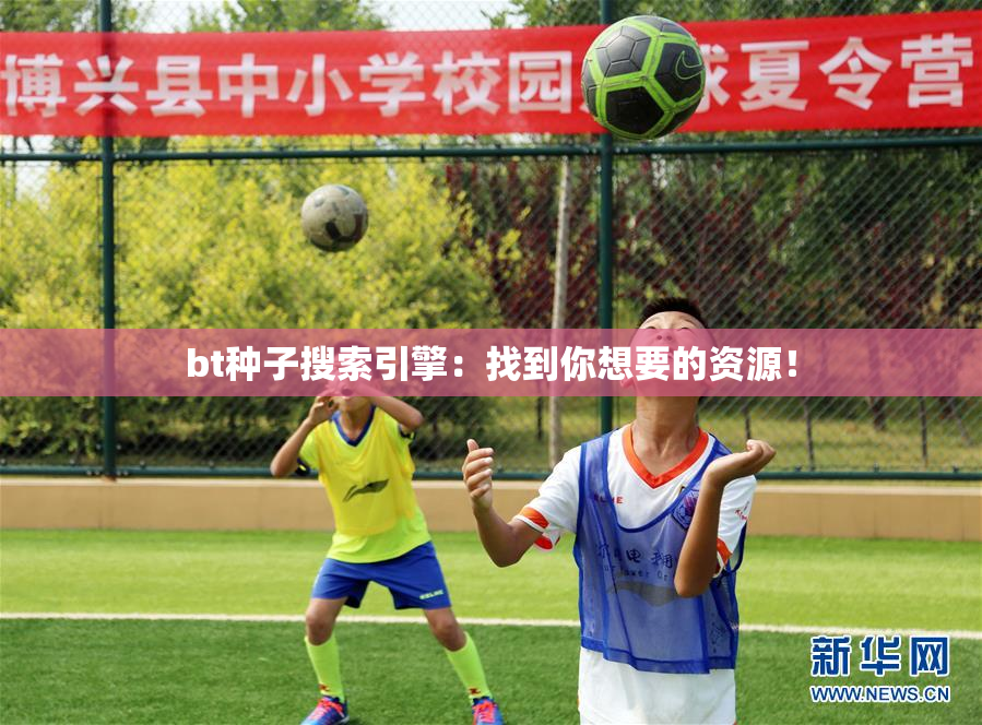 bt种子搜索引擎：找到你想要的资源！
