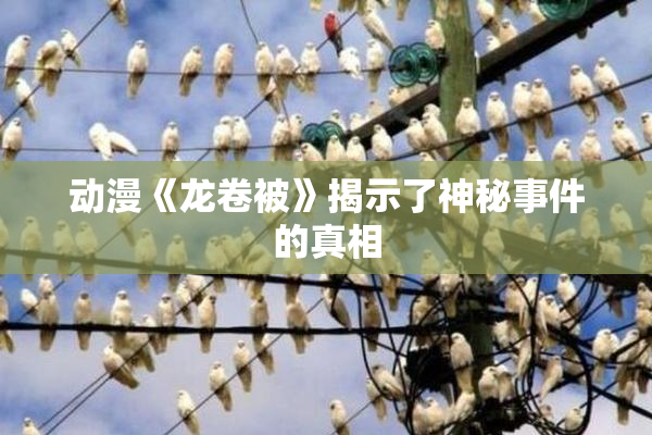 动漫《龙卷被》揭示了神秘事件的真相