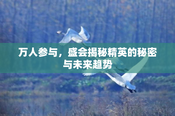 万人参与，盛会揭秘精英的秘密与未来趋势