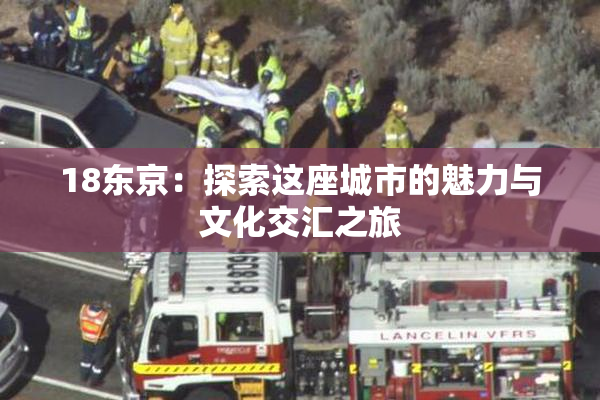 18东京：探索这座城市的魅力与文化交汇之旅