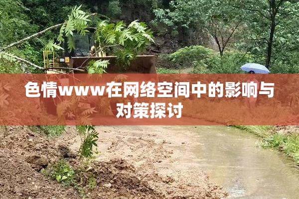色情www在网络空间中的影响与对策探讨