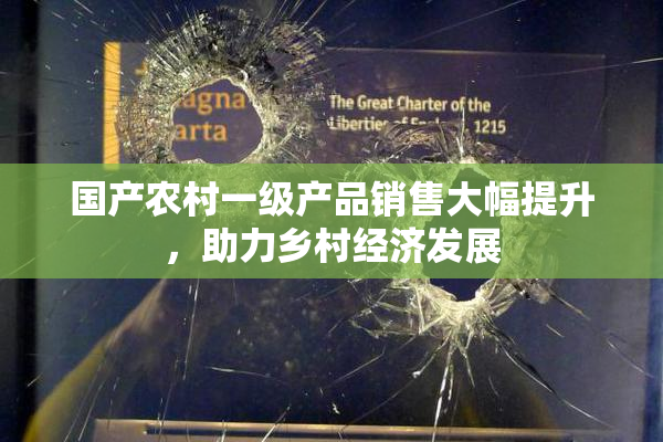国产农村一级产品销售大幅提升，助力乡村经济发展