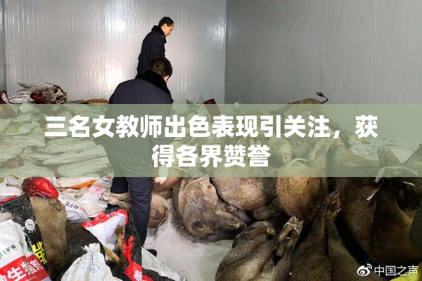 三名女教师出色表现引关注，获得各界赞誉