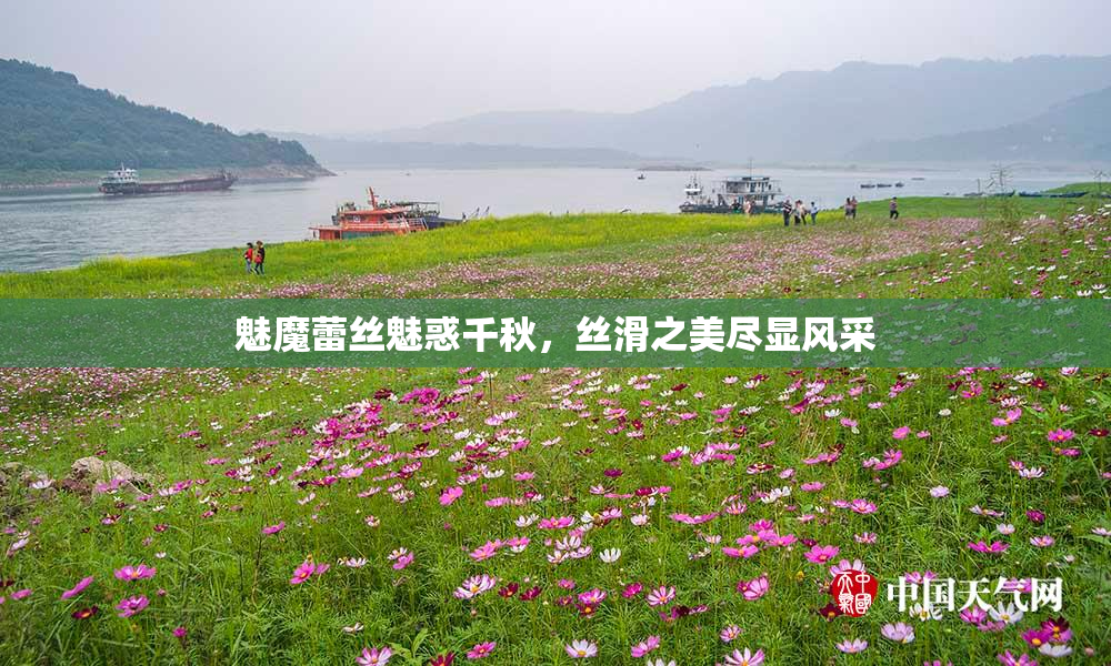 魅魔蕾丝魅惑千秋，丝滑之美尽显风采