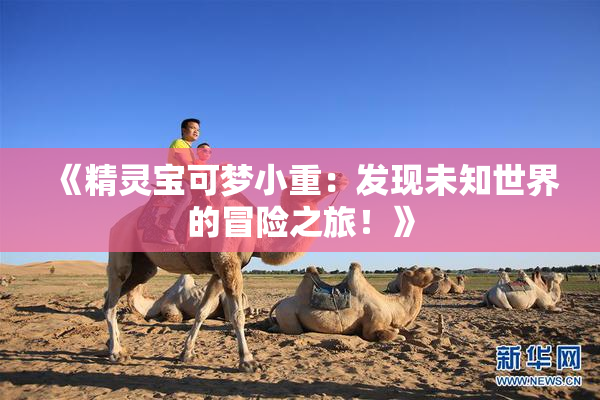 《精灵宝可梦小重：发现未知世界的冒险之旅！》