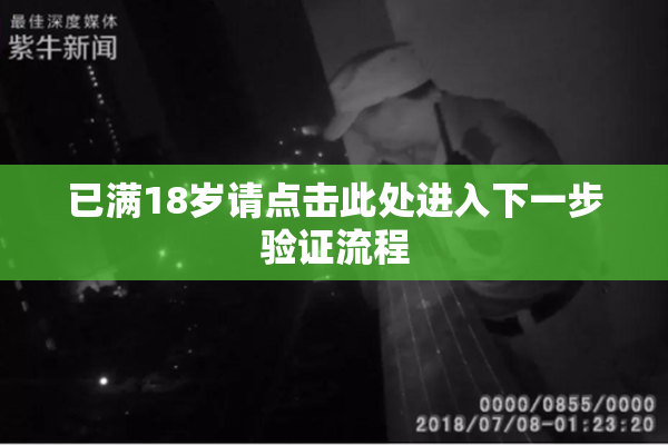 已满18岁请点击此处进入下一步验证流程