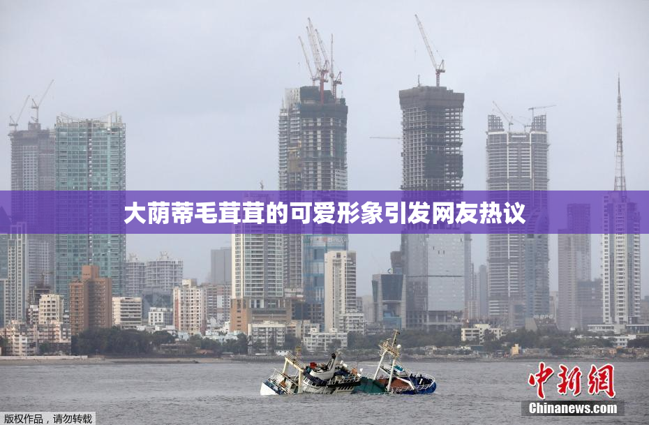大荫蒂毛茸茸的可爱形象引发网友热议