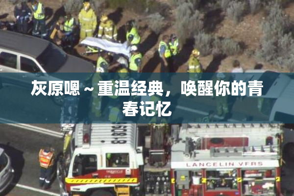 灰原嗯～重温经典，唤醒你的青春记忆