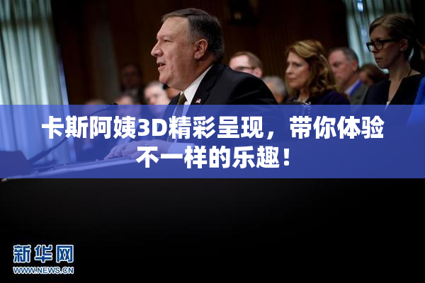 卡斯阿姨3D精彩呈现，带你体验不一样的乐趣！