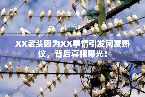 XX老头因为XX事情引发网友热议，背后真相曝光！