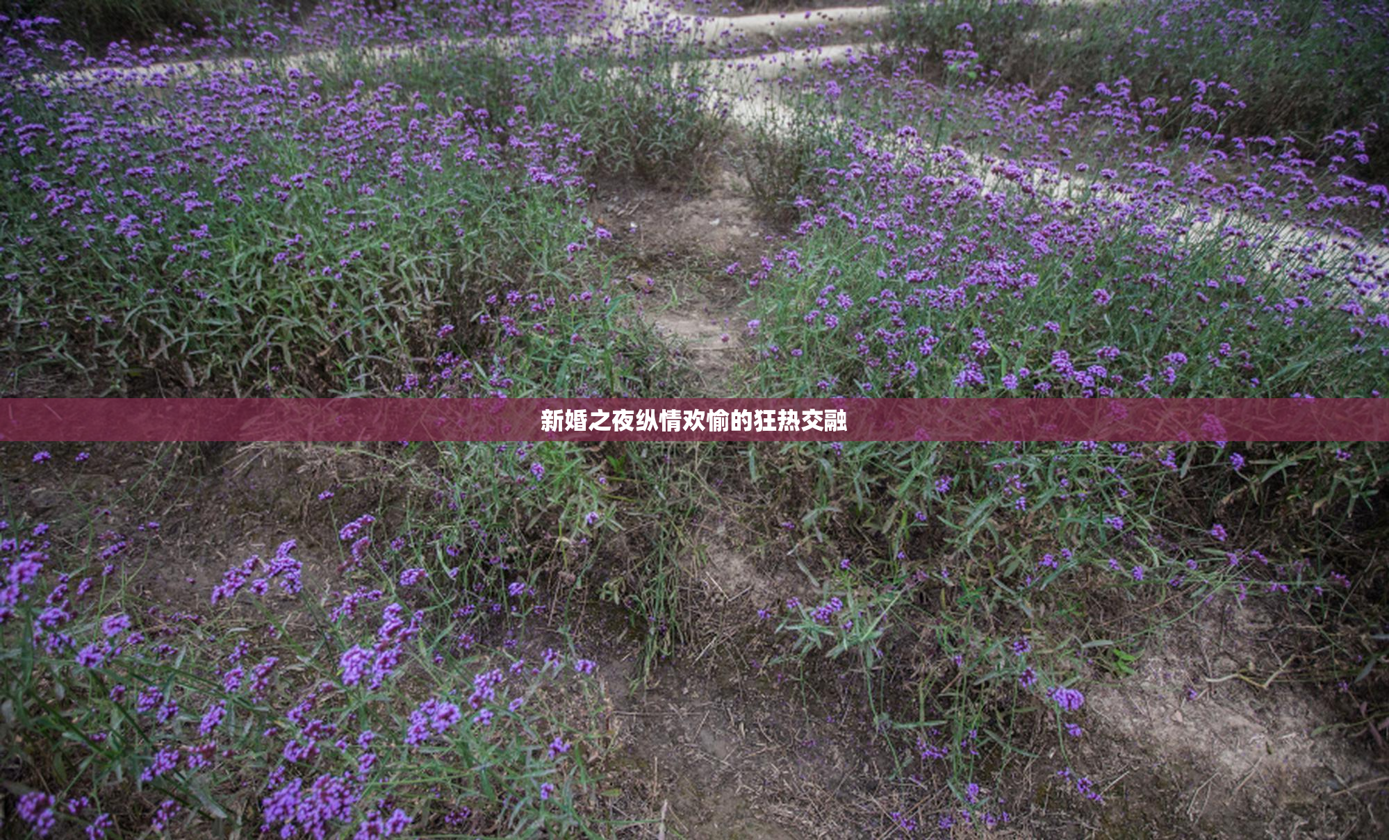 新婚之夜纵情欢愉的狂热交融