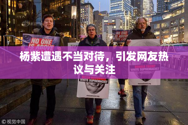 杨紫遭遇不当对待，引发网友热议与关注