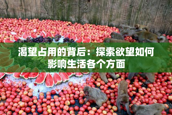 渴望占用的背后：探索欲望如何影响生活各个方面