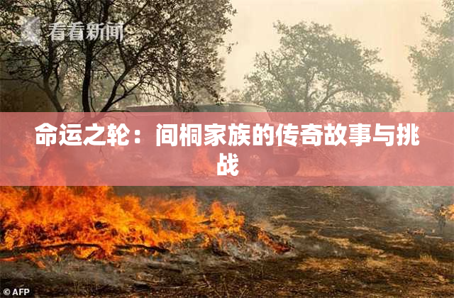 命运之轮：间桐家族的传奇故事与挑战