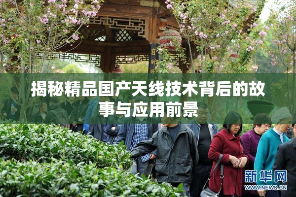 揭秘精品国产天线技术背后的故事与应用前景