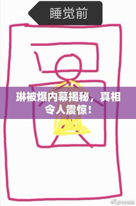 琳被爆内幕揭秘，真相令人震惊！