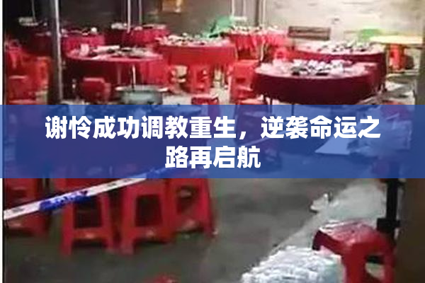 谢怜成功调教重生，逆袭命运之路再启航