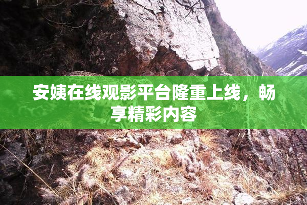 安姨在线观影平台隆重上线，畅享精彩内容