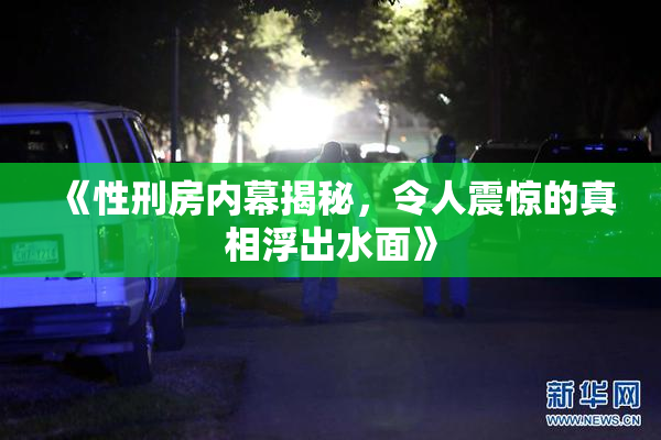 《性刑房内幕揭秘，令人震惊的真相浮出水面》