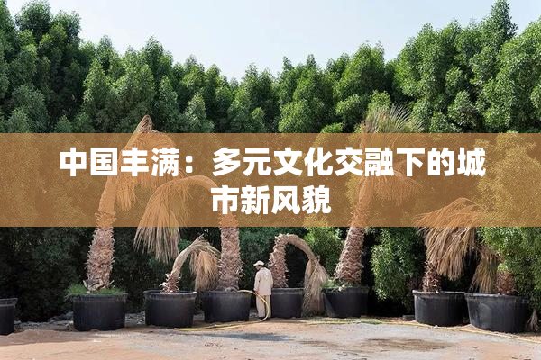 中国丰满：多元文化交融下的城市新风貌