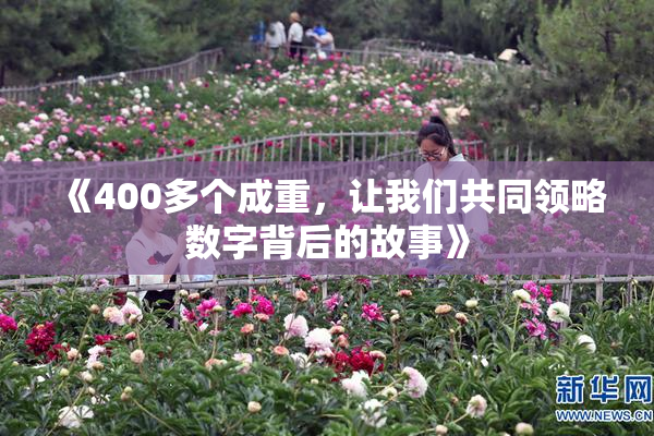 《400多个成重，让我们共同领略数字背后的故事》