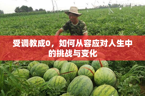 受调教成0，如何从容应对人生中的挑战与变化