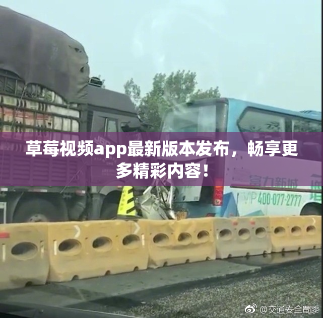草莓视频app最新版本发布，畅享更多精彩内容！