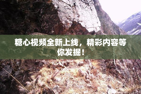 糖心视频全新上线，精彩内容等你发掘！