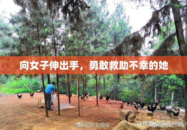向女子伸出手，勇敢救助不幸的她