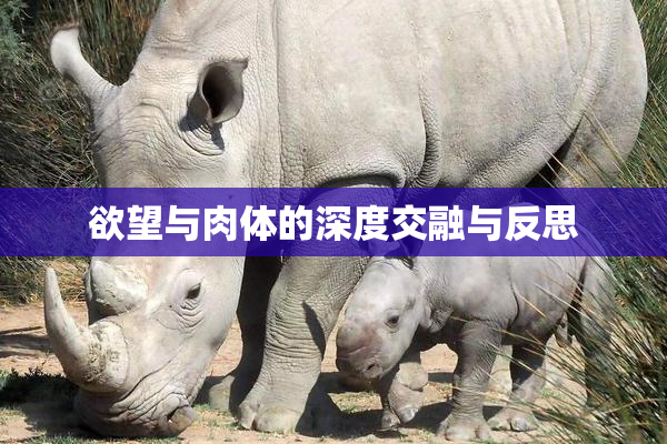 欲望与肉体的深度交融与反思