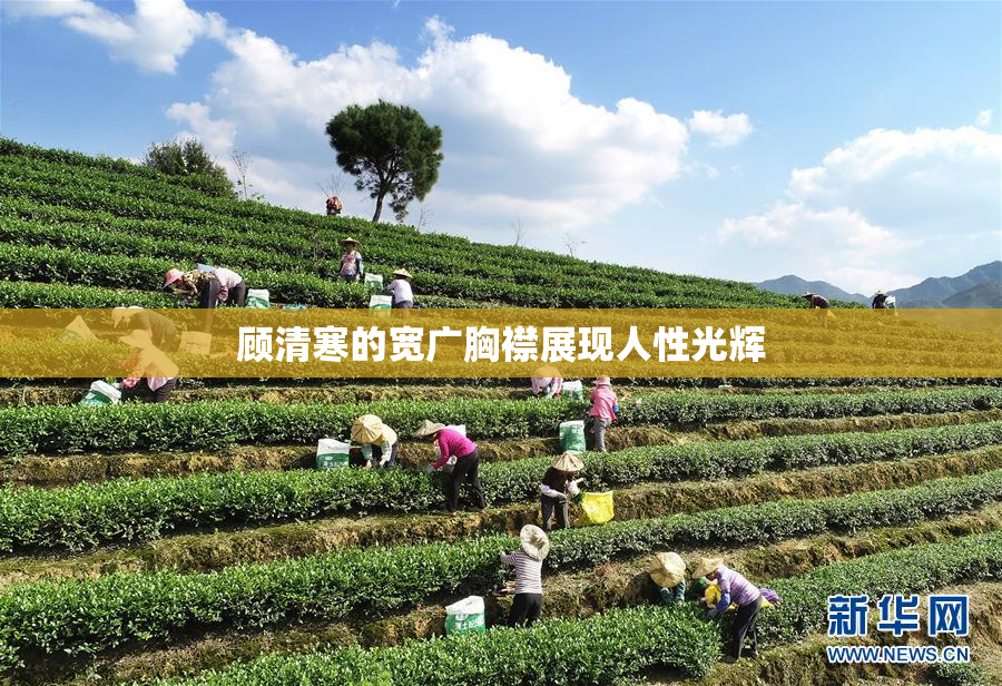顾清寒的宽广胸襟展现人性光辉