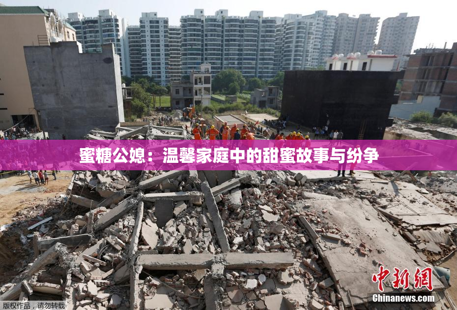 蜜糖公媳：温馨家庭中的甜蜜故事与纷争