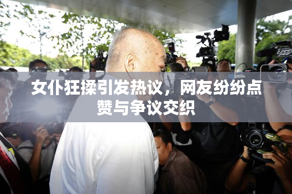 女仆狂揉引发热议，网友纷纷点赞与争议交织