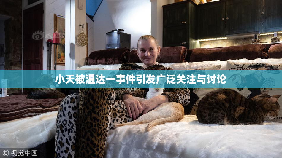小天被温达一事件引发广泛关注与讨论