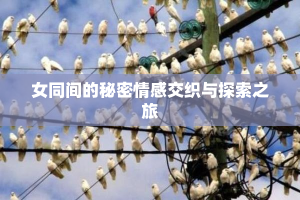 女同间的秘密情感交织与探索之旅
