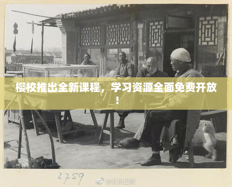 樱校推出全新课程，学习资源全面免费开放！