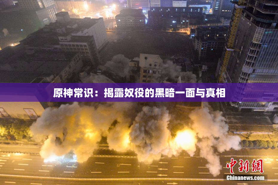原神常识：揭露奴役的黑暗一面与真相