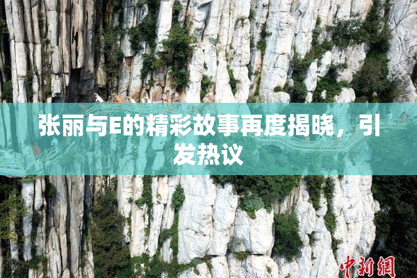 张丽与E的精彩故事再度揭晓，引发热议
