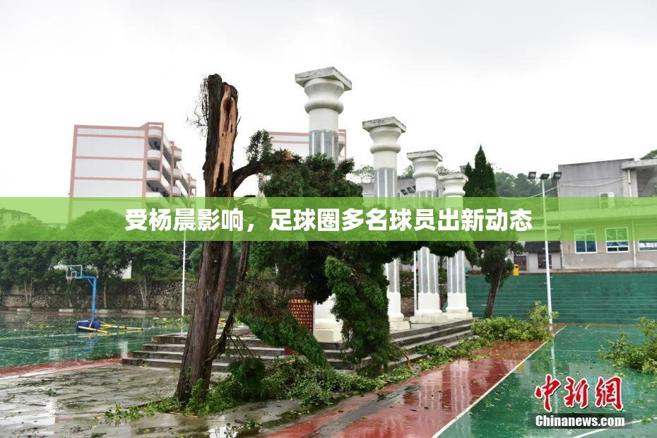 受杨晨影响，足球圈多名球员出新动态