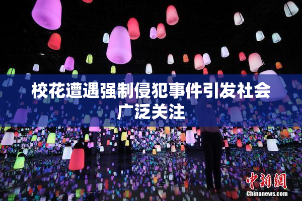 校花遭遇强制侵犯事件引发社会广泛关注