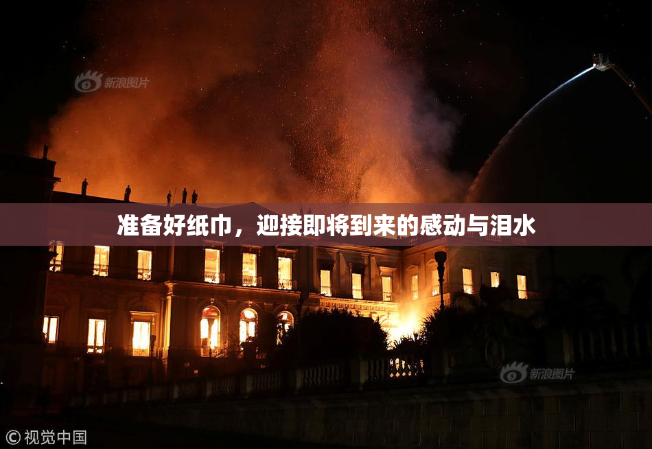 准备好纸巾，迎接即将到来的感动与泪水