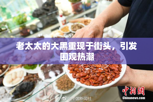 老太太的大黑重现于街头，引发围观热潮