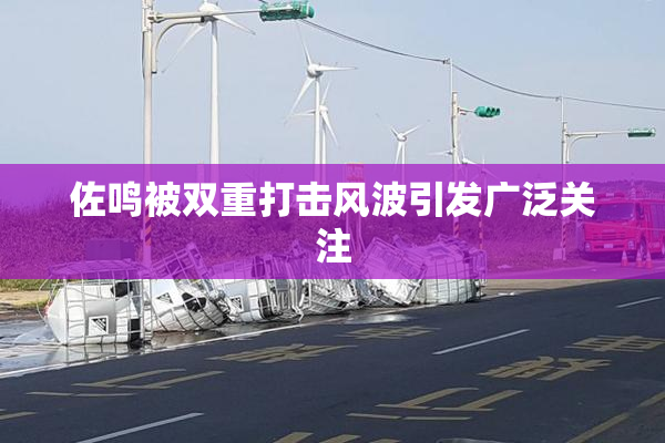 佐鸣被双重打击风波引发广泛关注